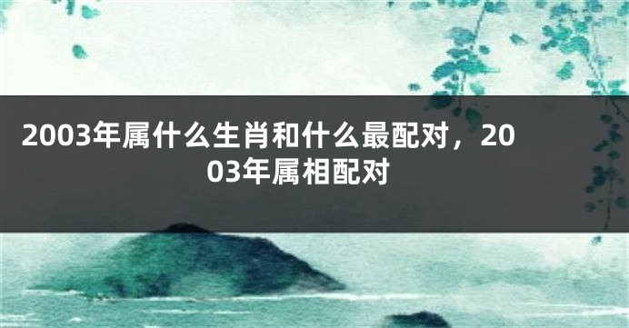 2003年属什么生肖和什么最配对，2003年属相配对
