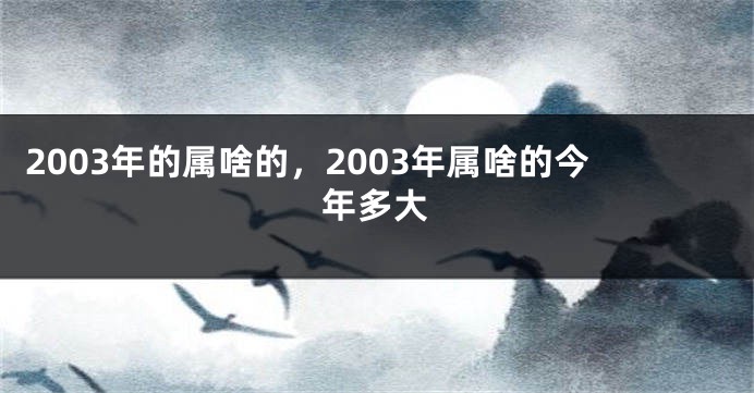 2003年的属啥的，2003年属啥的今年多大