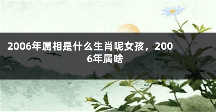 2006年属相是什么生肖呢女孩，2006年属啥