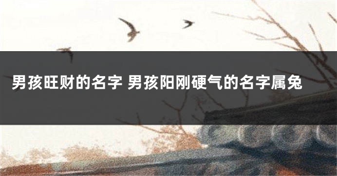 男孩旺财的名字 男孩阳刚硬气的名字属兔