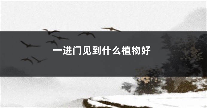 一进门见到什么植物好