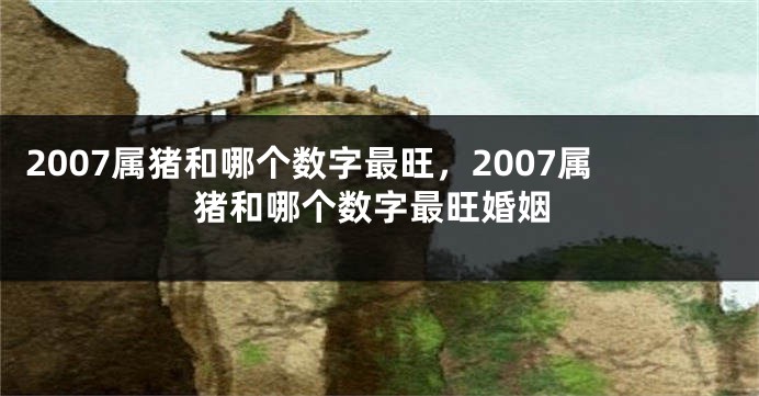 2007属猪和哪个数字最旺，2007属猪和哪个数字最旺婚姻