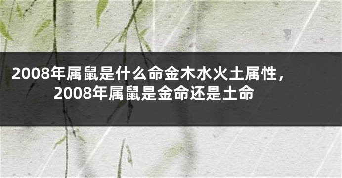 2008年属鼠是什么命金木水火土属性，2008年属鼠是金命还是土命