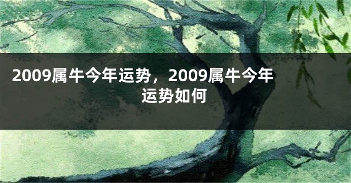 2009属牛今年运势，2009属牛今年运势如何