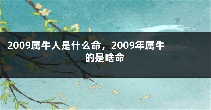 2009属牛人是什么命，2009年属牛的是啥命