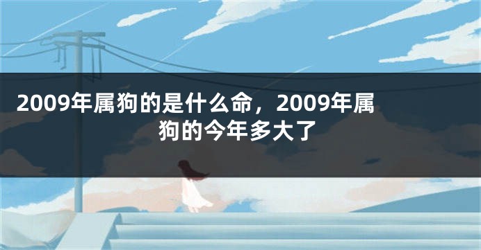 2009年属狗的是什么命，2009年属狗的今年多大了