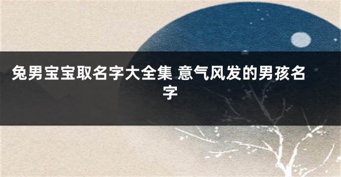 兔男宝宝取名字大全集 意气风发的男孩名字