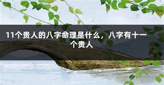 11个贵人的八字命理是什么，八字有十一个贵人
