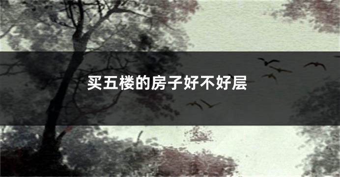 买五楼的房子好不好层