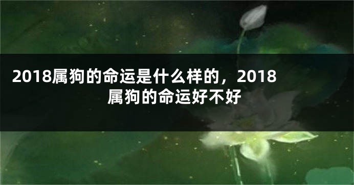 2018属狗的命运是什么样的，2018属狗的命运好不好