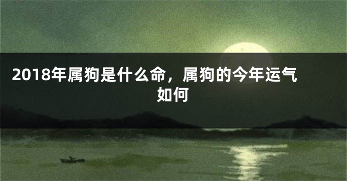 2018年属狗是什么命，属狗的今年运气如何
