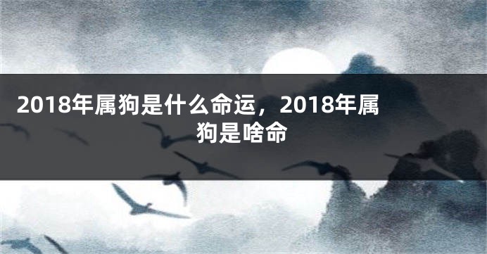 2018年属狗是什么命运，2018年属狗是啥命