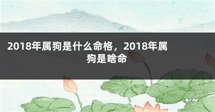 2018年属狗是什么命格，2018年属狗是啥命