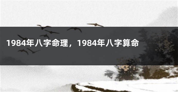 1984年八字命理，1984年八字算命