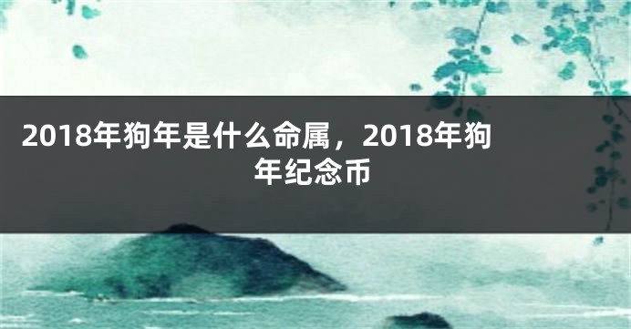 2018年狗年是什么命属，2018年狗年纪念币