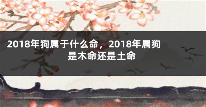 2018年狗属于什么命，2018年属狗是木命还是土命
