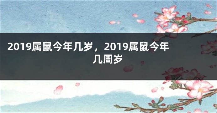 2019属鼠今年几岁，2019属鼠今年几周岁
