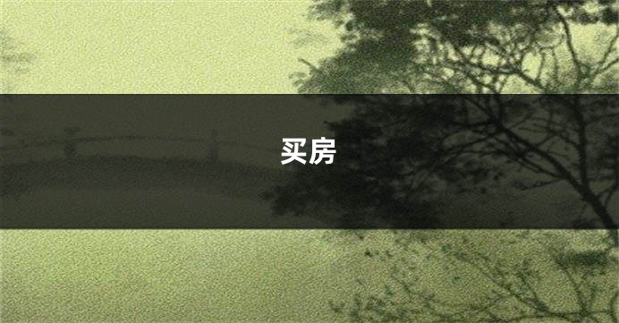 买房