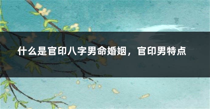 什么是官印八字男命婚姻，官印男特点