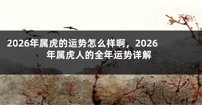 2026年属虎的运势怎么样啊，2026年属虎人的全年运势详解
