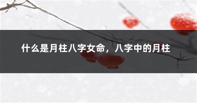 什么是月柱八字女命,八字中的月柱