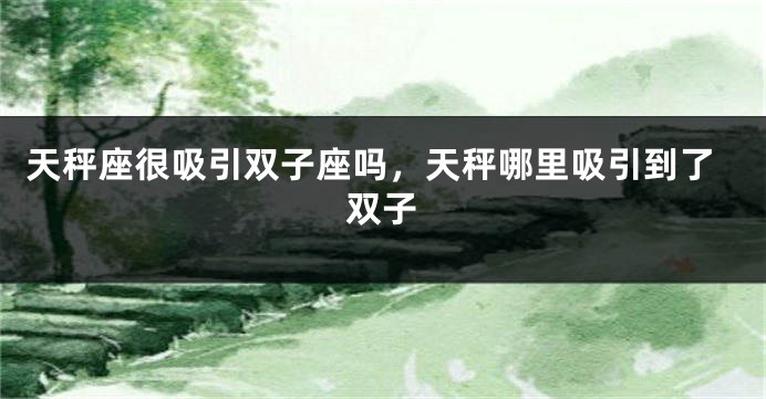 天秤座很吸引双子座吗，天秤哪里吸引到了双子
