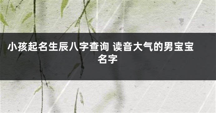 小孩起名生辰八字查询 读音大气的男宝宝名字