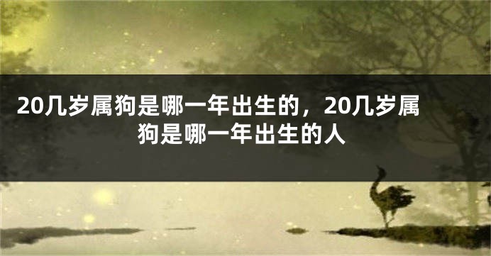20几岁属狗是哪一年出生的，20几岁属狗是哪一年出生的人