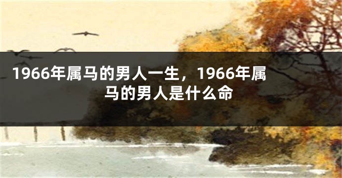 1966年属马的男人一生，1966年属马的男人是什么命