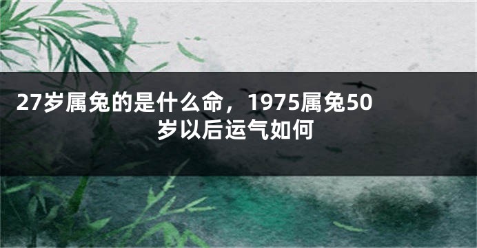 27岁属兔的是什么命，1975属兔50岁以后运气如何