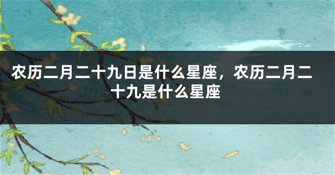 农历二月二十九日是什么星座，农历二月二十九是什么星座