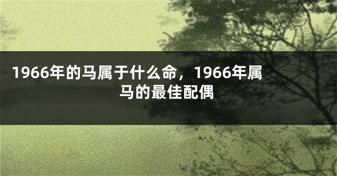 1966年的马属于什么命，1966年属马的最佳配偶