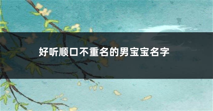 好听顺口不重名的男宝宝名字