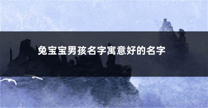 兔宝宝男孩名字寓意好的名字