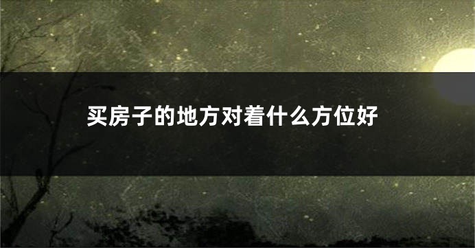 买房子的地方对着什么方位好