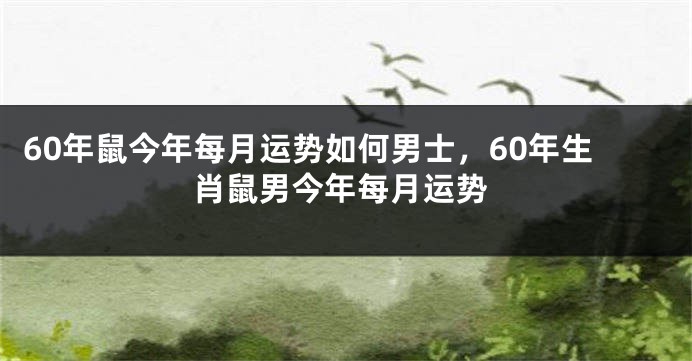 60年鼠今年每月运势如何男士，60年生肖鼠男今年每月运势