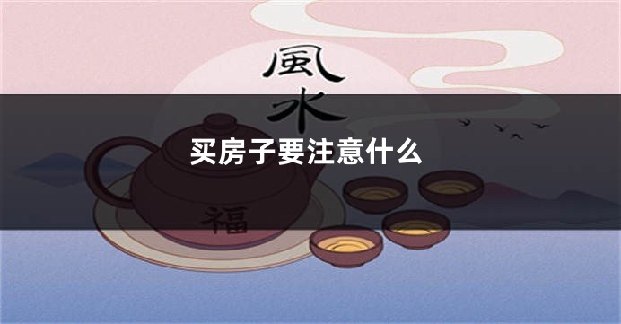 买房子要注意什么
