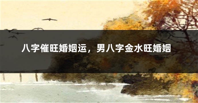八字催旺婚姻运，男八字金水旺婚姻
