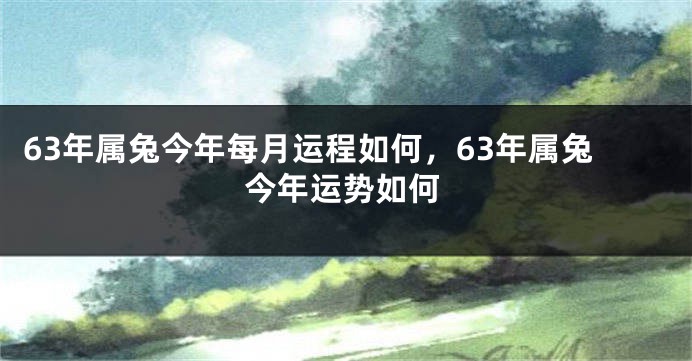 63年属兔今年每月运程如何，63年属兔今年运势如何