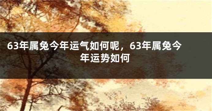 63年属兔今年运气如何呢，63年属兔今年运势如何