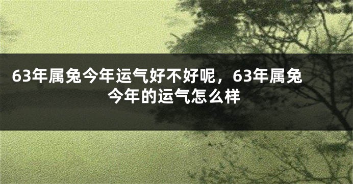 63年属兔今年运气好不好呢，63年属兔今年的运气怎么样