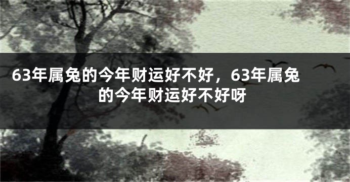 63年属兔的今年财运好不好，63年属兔的今年财运好不好呀