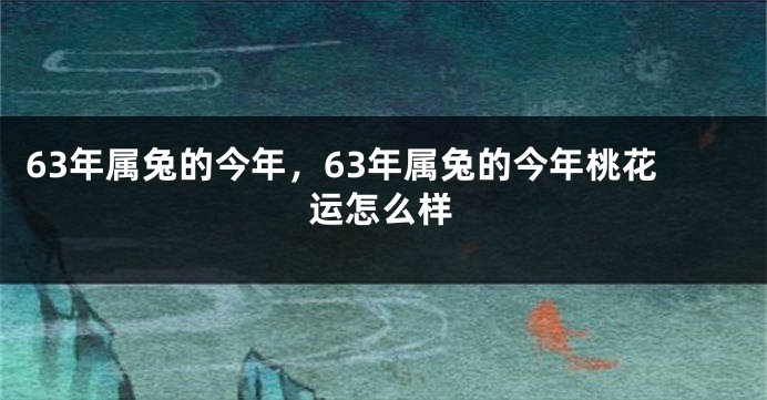 63年属兔的今年,63年属兔的今年桃花运怎么样