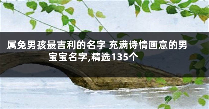 属兔男孩最吉利的名字 充满诗情画意的男宝宝名字,精选135个