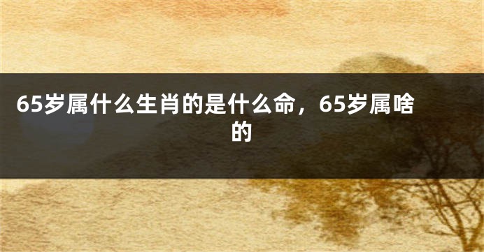 65岁属什么生肖的是什么命，65岁属啥的