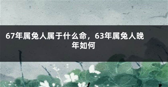 67年属兔人属于什么命，63年属兔人晚年如何