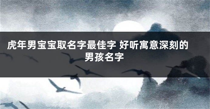 虎年男宝宝取名字最佳字 好听寓意深刻的男孩名字