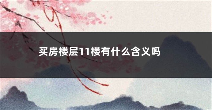 买房楼层11楼有什么含义吗