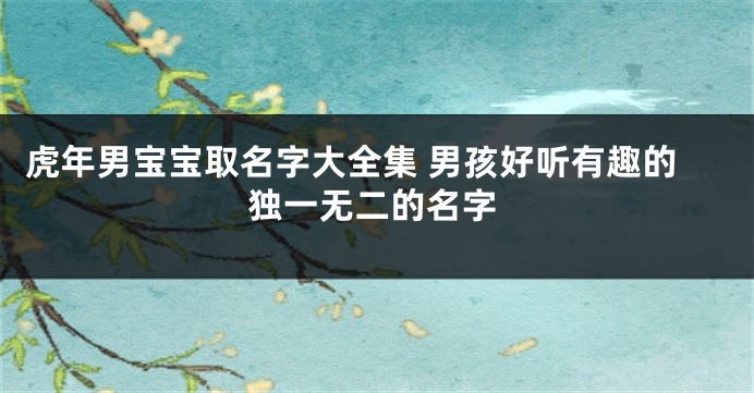 虎年男宝宝取名字大全集 男孩好听有趣的独一无二的名字