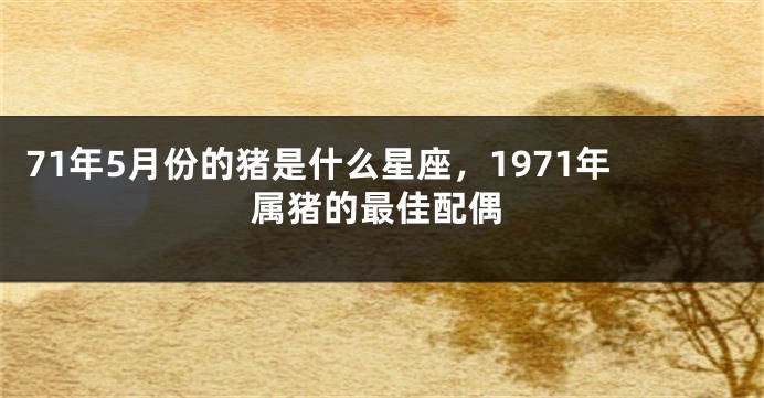 71年5月份的猪是什么星座，1971年属猪的最佳配偶